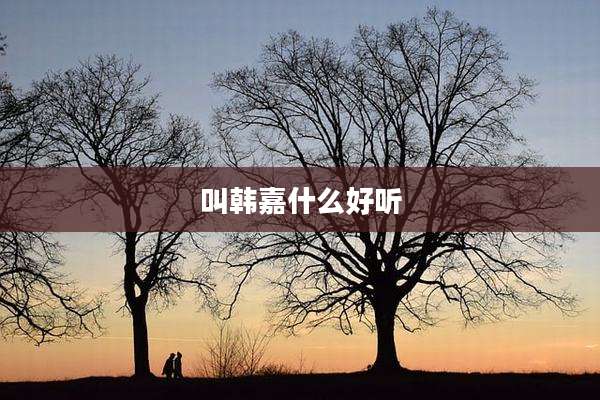 叫韩嘉什么好听