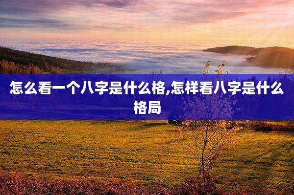 怎么看一个八字是什么格,怎样看八字是什么格局
