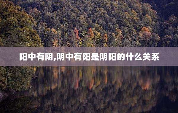阳中有阴,阴中有阳是阴阳的什么关系