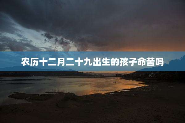 农历十二月二十九出生的孩子命苦吗