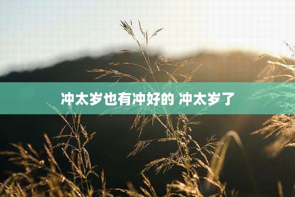 冲太岁也有冲好的 冲太岁了
