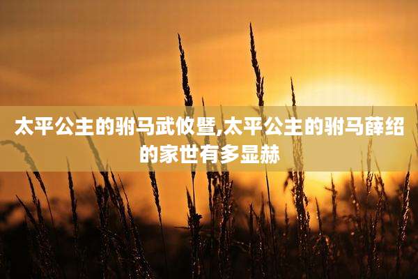 太平公主的驸马武攸暨,太平公主的驸马薛绍的家世有多显赫