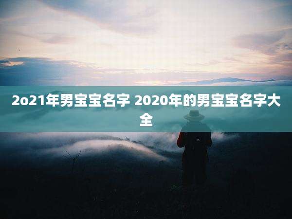 2o21年男宝宝名字 2020年的男宝宝名字大全
