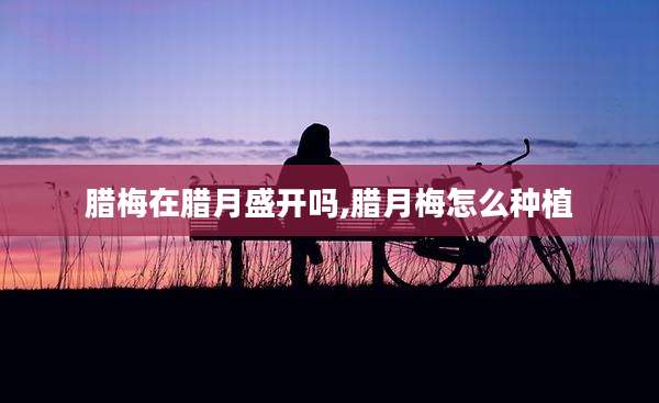 腊梅在腊月盛开吗,腊月梅怎么种植