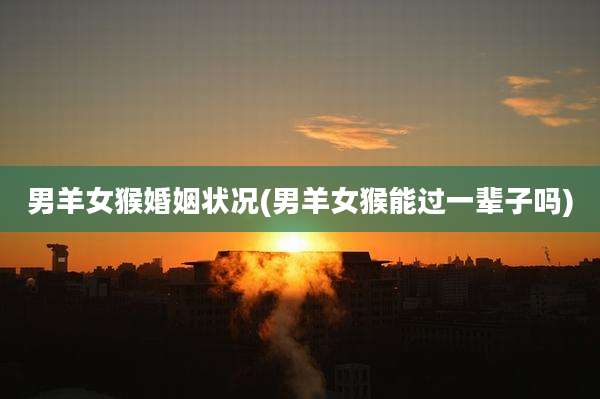 男羊女猴婚姻状况(男羊女猴能过一辈子吗)