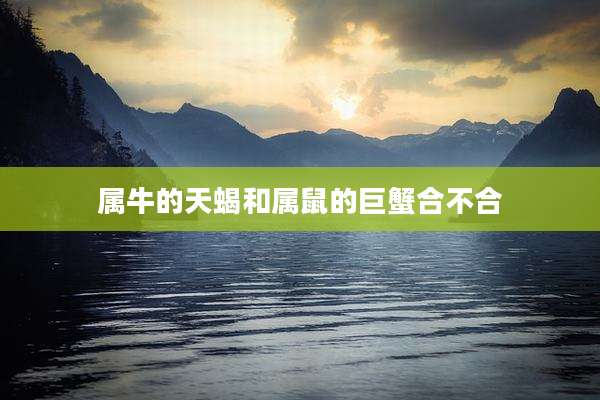 属牛的天蝎和属鼠的巨蟹合不合