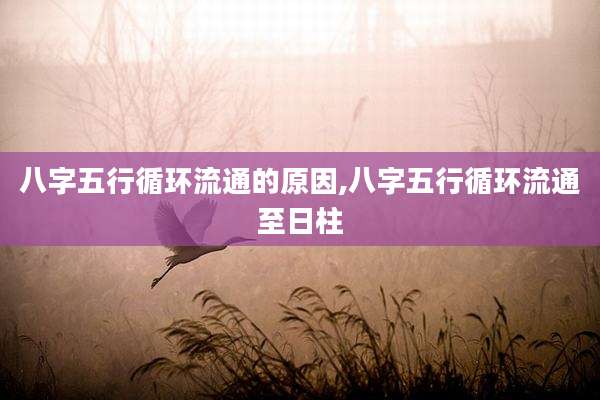 八字五行循环流通的原因,八字五行循环流通至日柱