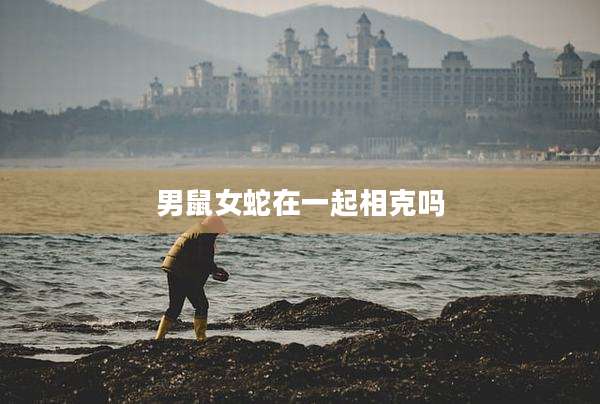 男鼠女蛇在一起相克吗