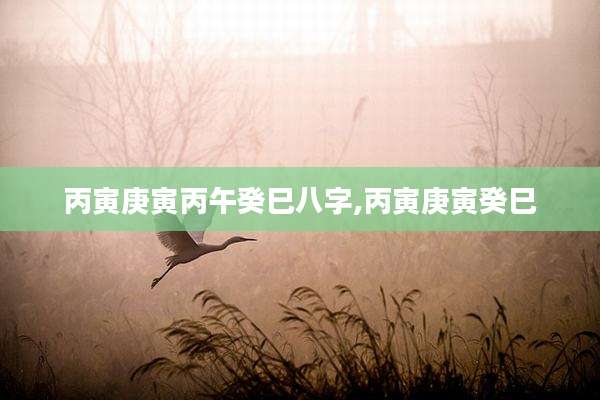 丙寅庚寅丙午癸巳八字,丙寅庚寅癸巳