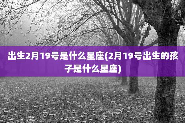 出生2月19号是什么星座(2月19号出生的孩子是什么星座)