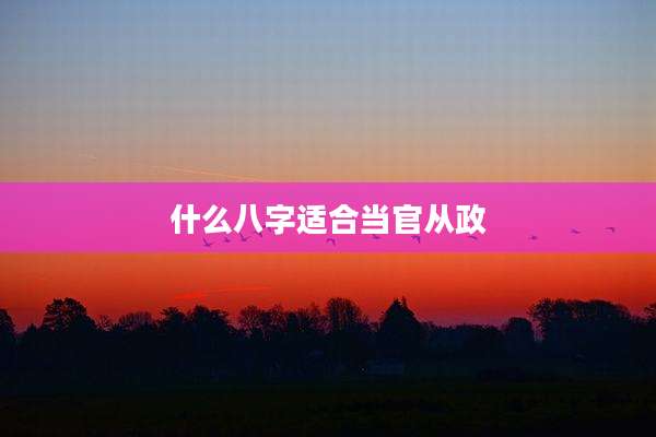 什么八字适合当官从政