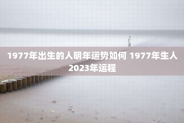 1977年出生的人明年运势如何 1977年生人2023年运程