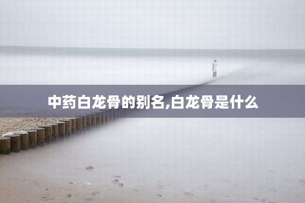 中药白龙骨的别名,白龙骨是什么