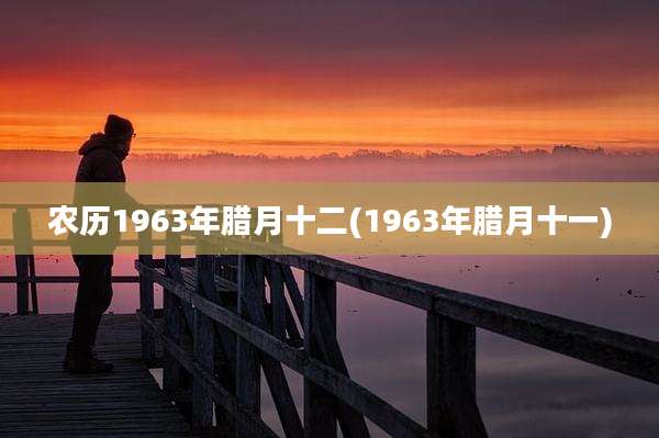 农历1963年腊月十二(1963年腊月十一)
