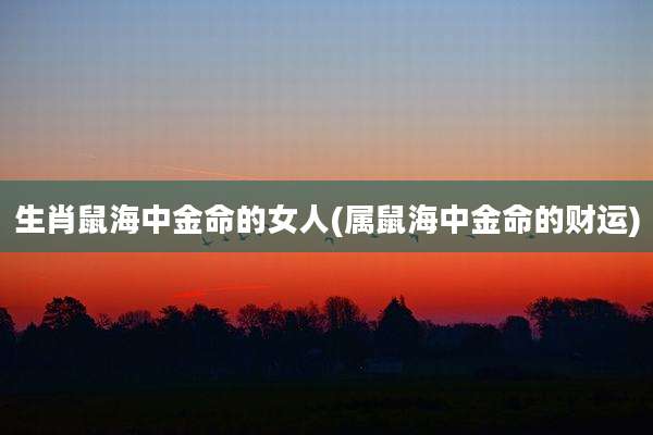 生肖鼠海中金命的女人(属鼠海中金命的财运)