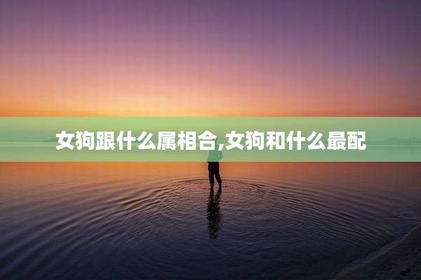 女狗跟什么属相合,女狗和什么最配