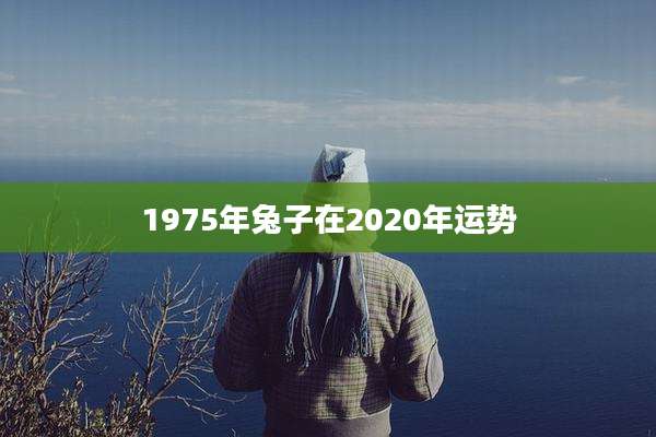 1975年兔子在2020年运势
