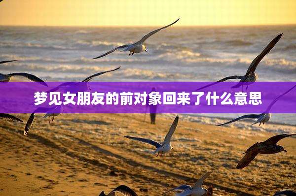 梦见女朋友的前对象回来了什么意思