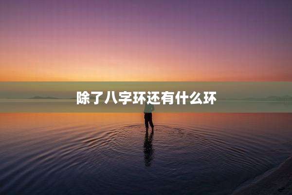 除了八字环还有什么环