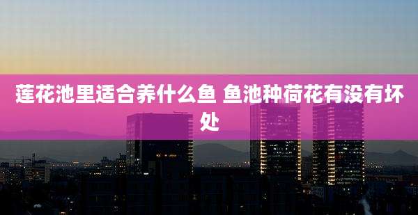 莲花池里适合养什么鱼 鱼池种荷花有没有坏处