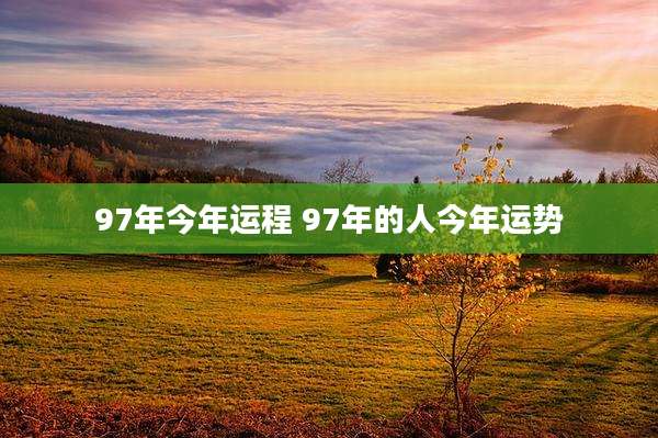 97年今年运程 97年的人今年运势