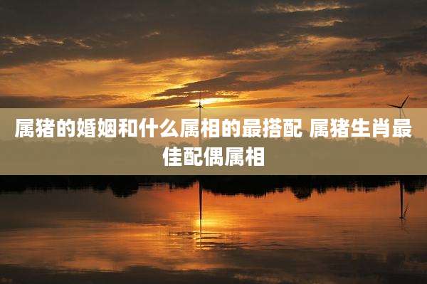属猪的婚姻和什么属相的最搭配 属猪生肖最佳配偶属相