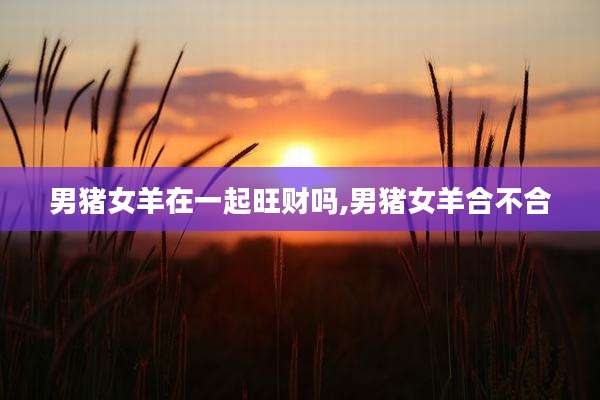 男猪女羊在一起旺财吗,男猪女羊合不合