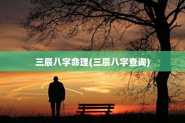 三辰八字命理(三辰八字查询)