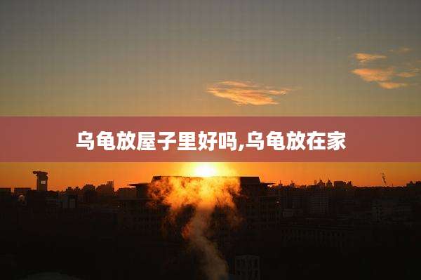 乌龟放屋子里好吗,乌龟放在家