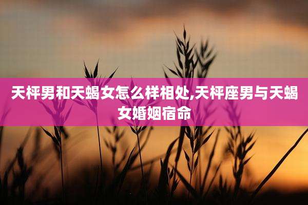 天枰男和天蝎女怎么样相处,天枰座男与天蝎女婚姻宿命