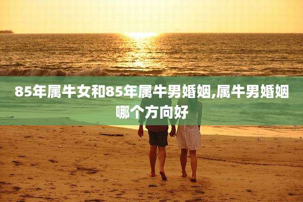 85年属牛女和85年属牛男婚姻,属牛男婚姻哪个方向好
