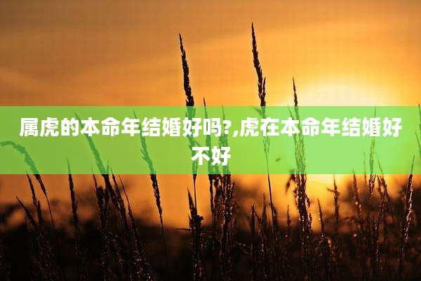 属虎的本命年结婚好吗?,虎在本命年结婚好不好