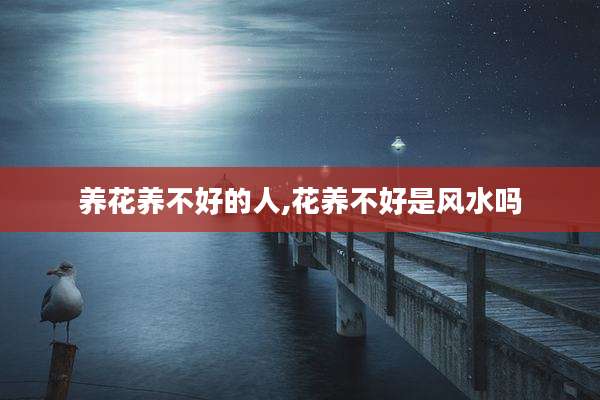 养花养不好的人,花养不好是风水吗