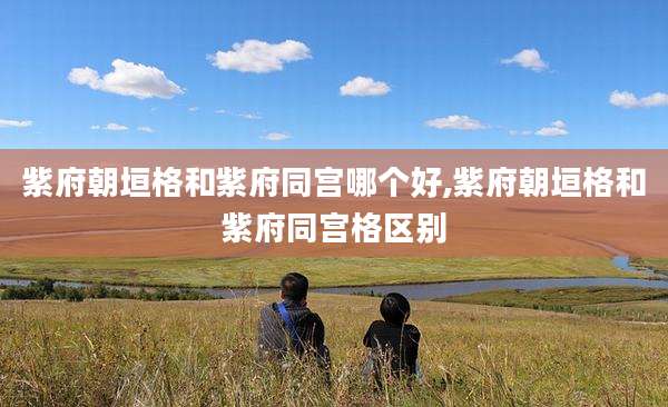紫府朝垣格和紫府同宫哪个好,紫府朝垣格和紫府同宫格区别