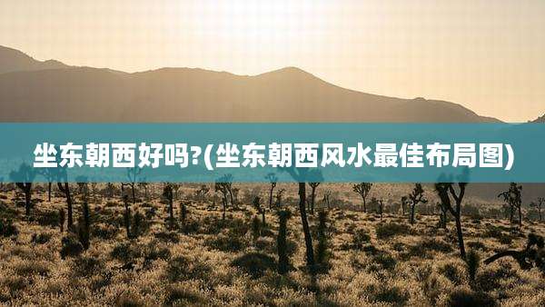 坐东朝西好吗?(坐东朝西风水最佳布局图)