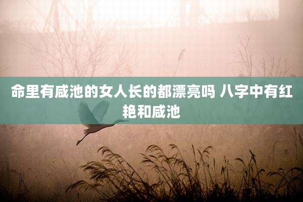 命里有咸池的女人长的都漂亮吗 八字中有红艳和咸池