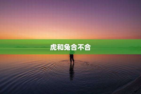 虎和兔合不合
