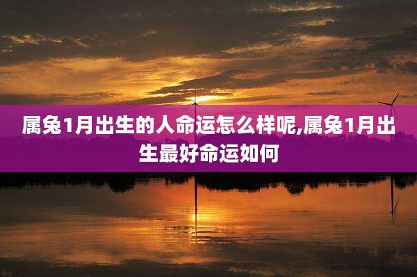 属兔1月出生的人命运怎么样呢,属兔1月出生最好命运如何