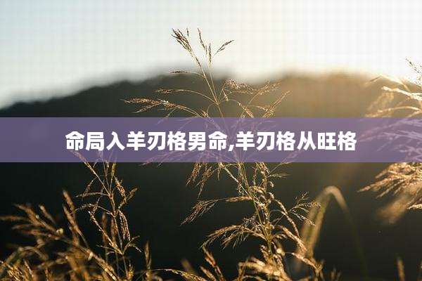 命局入羊刃格男命,羊刃格从旺格