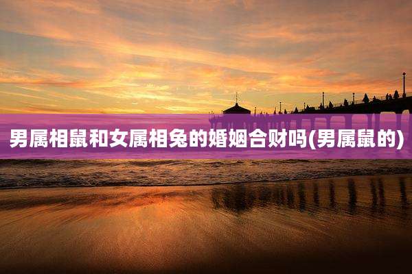 男属相鼠和女属相兔的婚姻合财吗(男属鼠的)