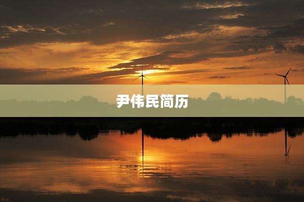 尹伟民简历