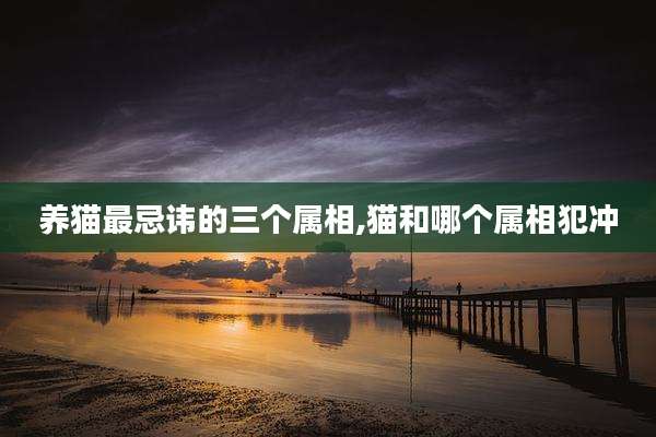 养猫最忌讳的三个属相,猫和哪个属相犯冲