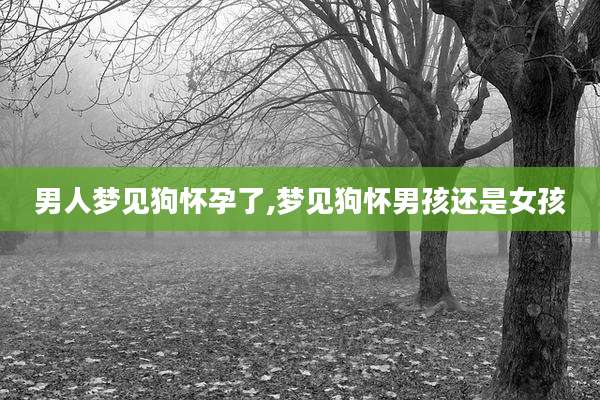 男人梦见狗怀孕了,梦见狗怀男孩还是女孩