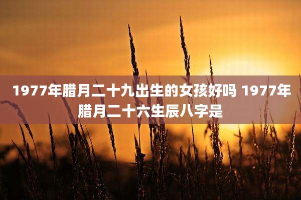 1977年腊月二十九出生的女孩好吗 1977年腊月二十六生辰八字是