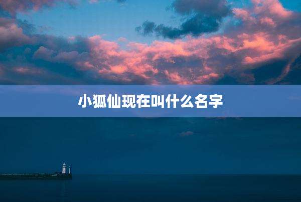小狐仙现在叫什么名字