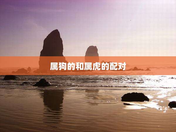 属狗的和属虎的配对