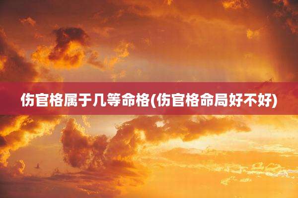 伤官格属于几等命格(伤官格命局好不好)