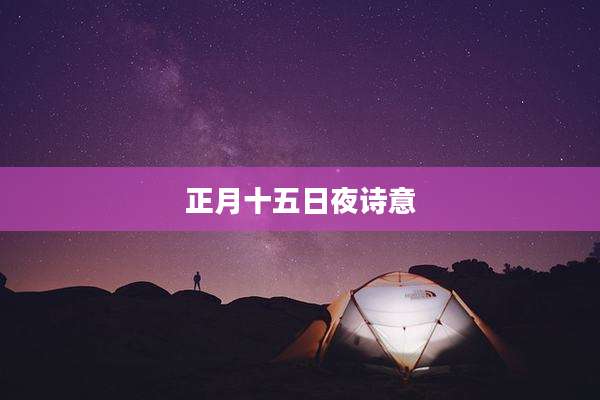 正月十五日夜诗意