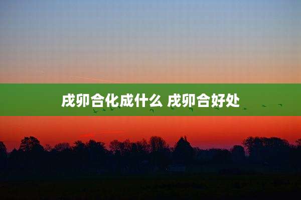 戌卯合化成什么 戌卯合好处