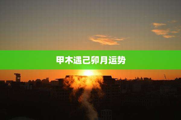 甲木遇己卯月运势